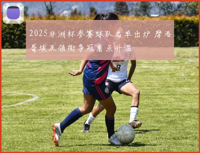 2025非洲杯参赛球队名单出炉 摩洛哥埃及领衔争冠看点升温