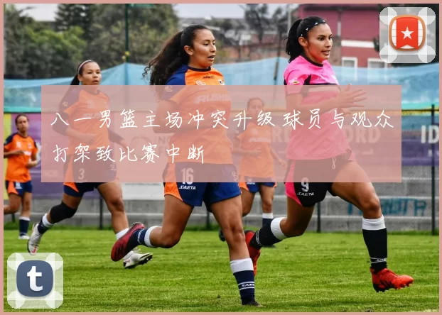 八一男篮主场冲突升级 球员与观众打架致比赛中断