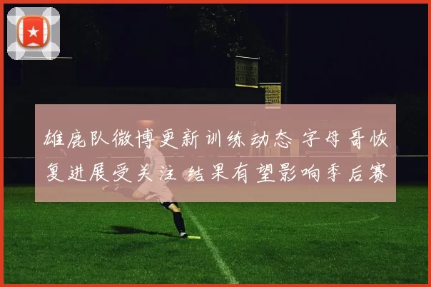 雄鹿队微博更新训练动态 字母哥恢复进展受关注 结果有望影响季后赛部署