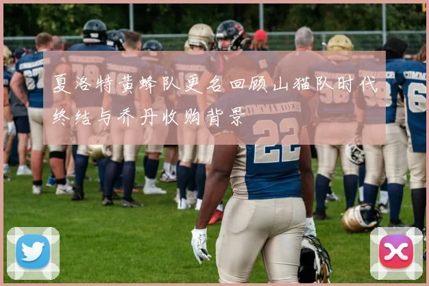 夏洛特黄蜂队更名回顾山猫队时代终结与乔丹收购背景