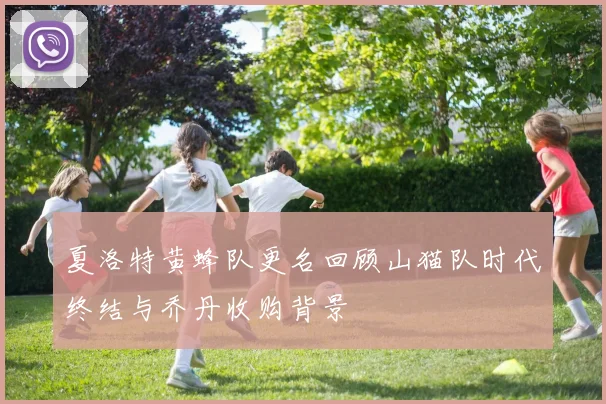 夏洛特黄蜂队更名回顾山猫队时代终结与乔丹收购背景
